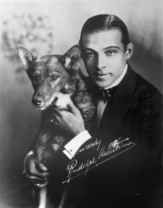rudolph-valentino-781