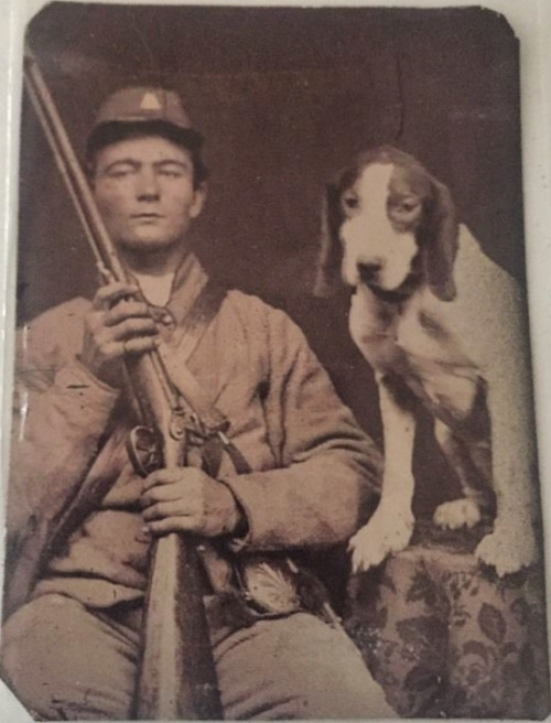 soldier-and-hound