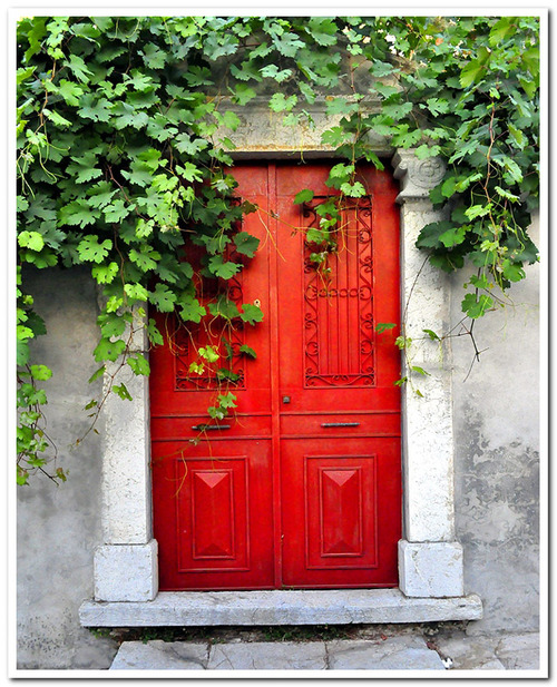 vertical-landscaping-134