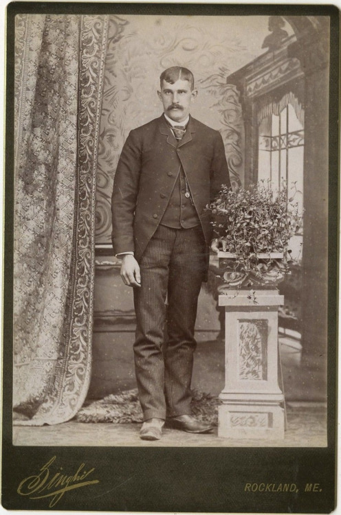 vintage-maine-mustache