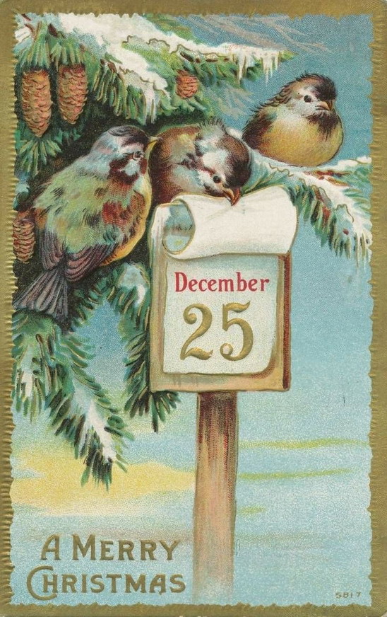 xmas-birds-2