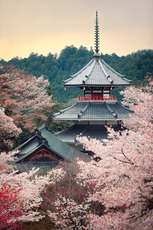 japanese-shrines-seasons-500