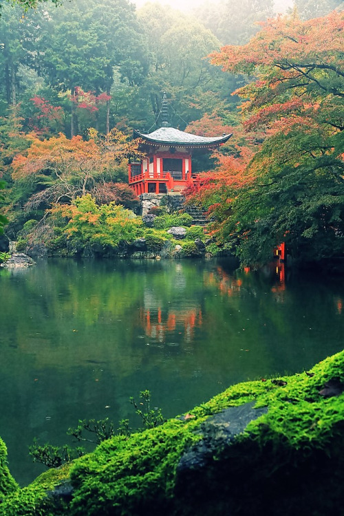 japanese-shrines-seasons-502