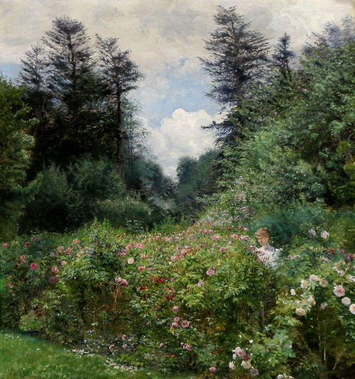 flowering-roses-peter-tom-petersen