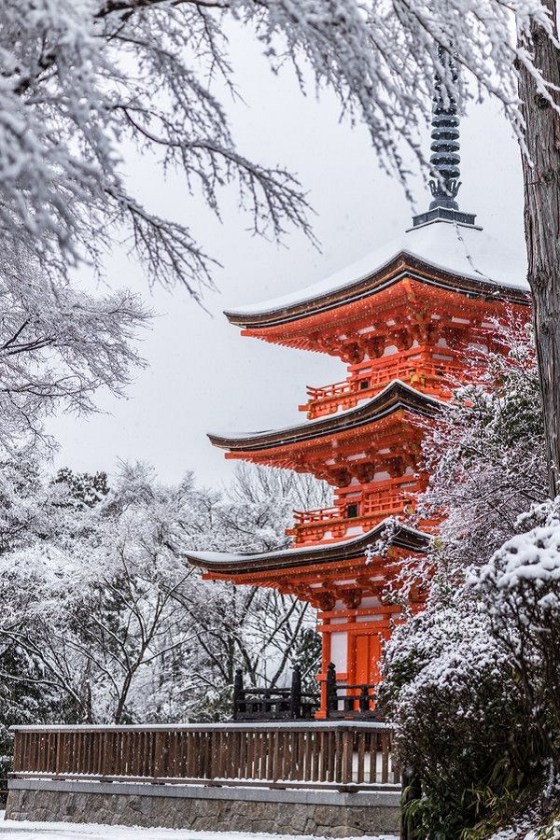 japan-shrine-snow