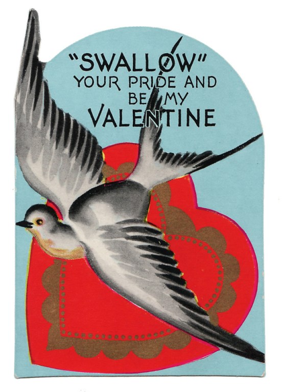 swallow-vd-446