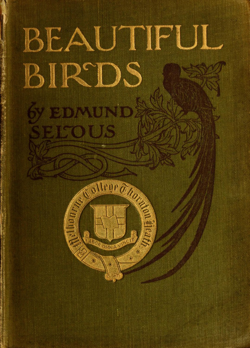 bird-book-beautiful