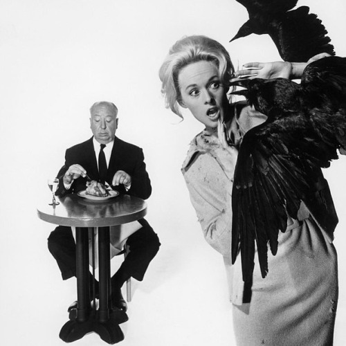 hitchcock hedren the birds