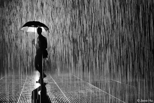 Rain Rous Rain | MATTHEW'S ISLAND