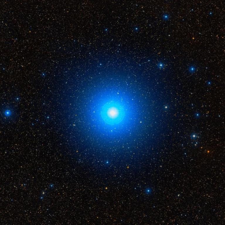 Blue star | MATTHEW'S ISLAND