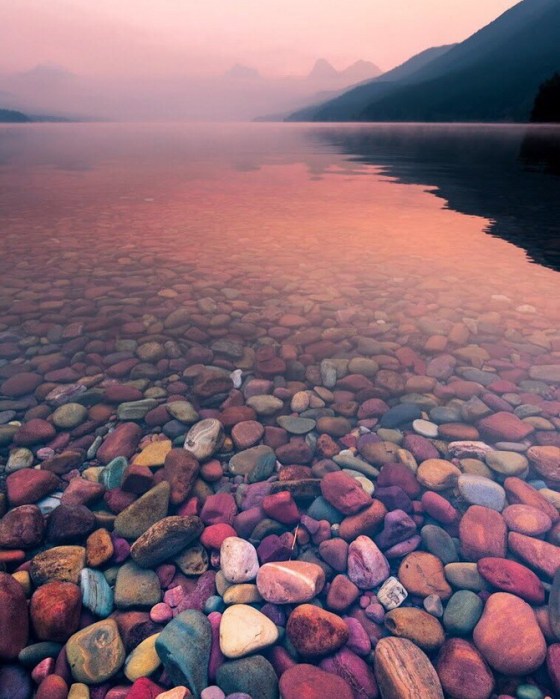 MONTANA Stephen Shelesky