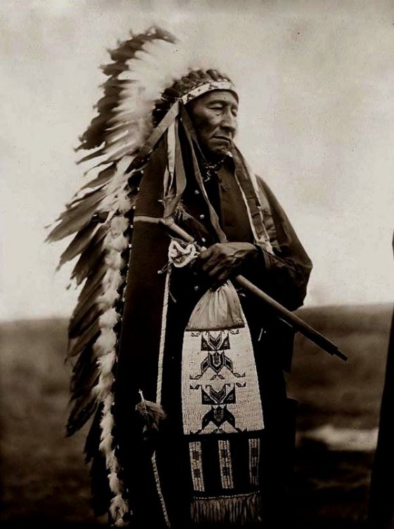 NATIVE AMERICAN 4465