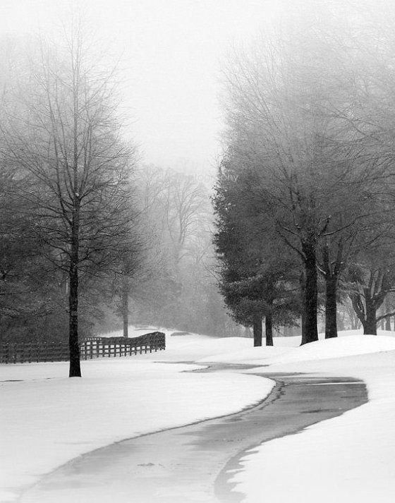 SNOW Nicholas Bell