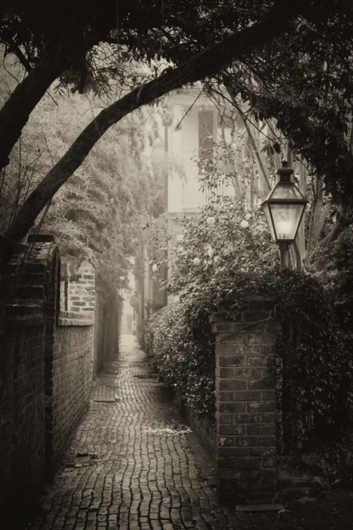 Charleston, SC doug hickok