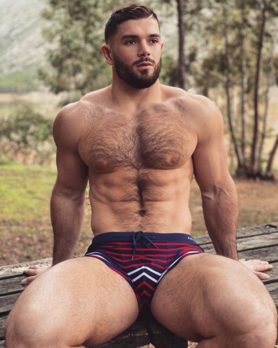HAIRY 317478