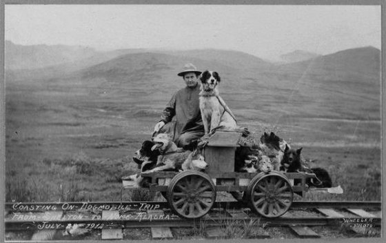 RAIL CAR WITH DOG