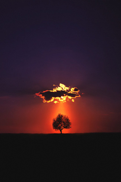 Shine On Felicia Simion