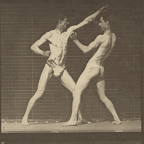 WRESTLING film test 9