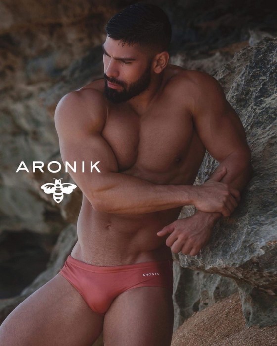 ARONIK 91281