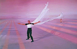 gene kelly cyd charisse 253