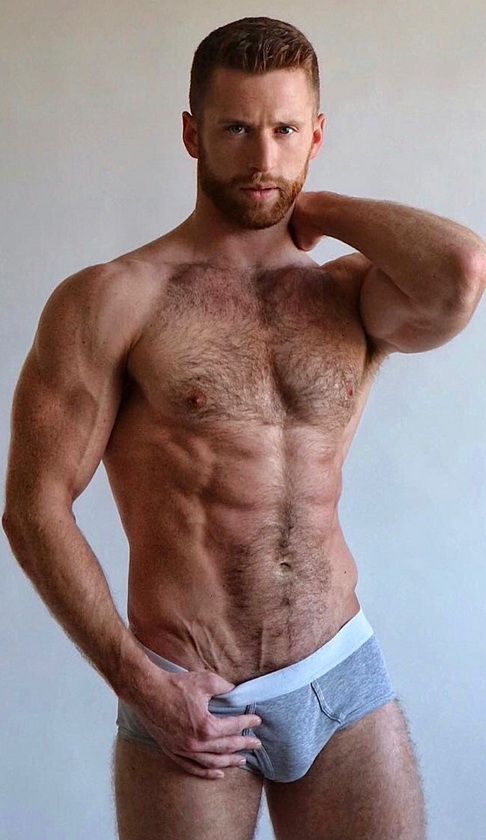 HAIRY 446662