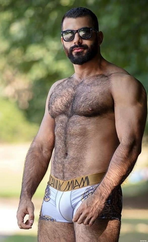 HAIRY 446668