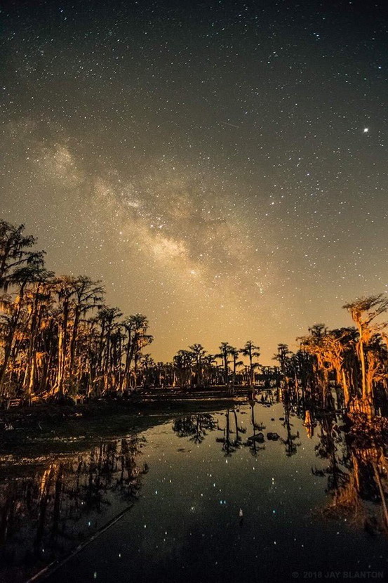 STARS AND SWAMP