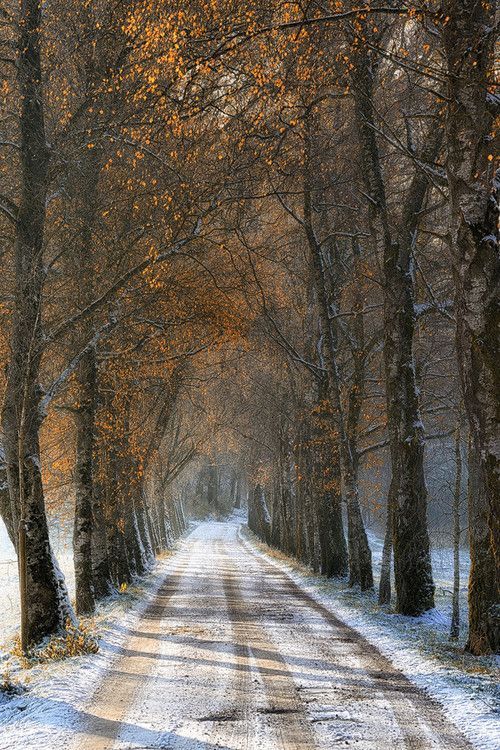 wintry road 3