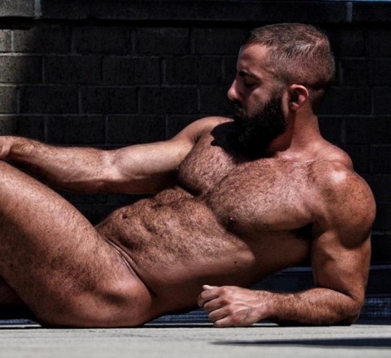 HAIRY 146665