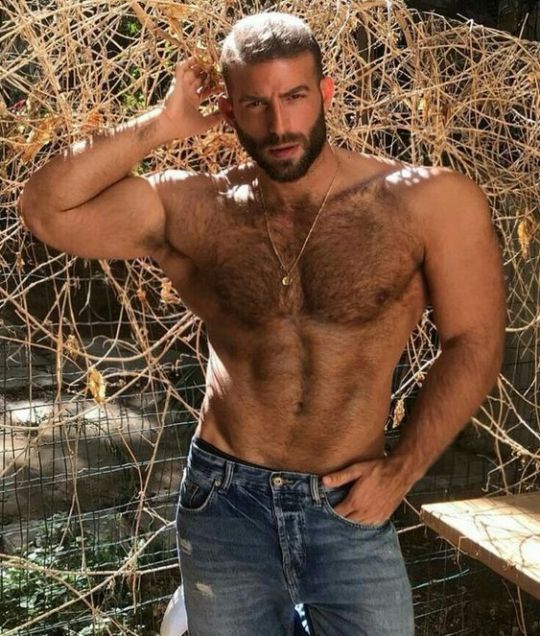 HAIRY 146672