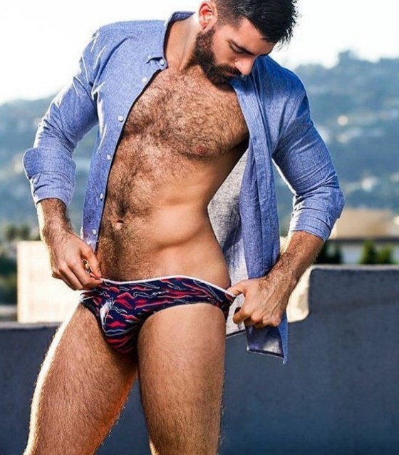 HAIRY 239488