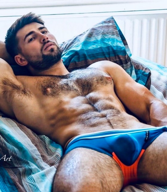 HAIRY 239489