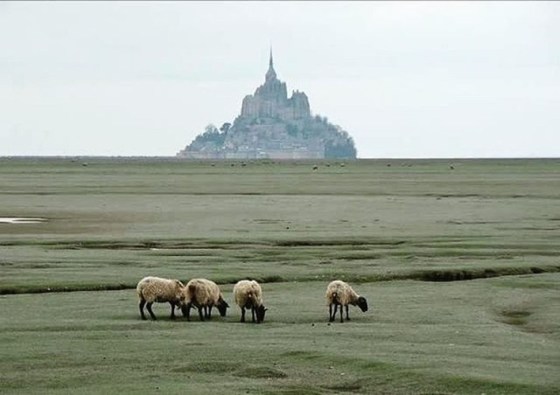 MONT ST MICHEL 3648