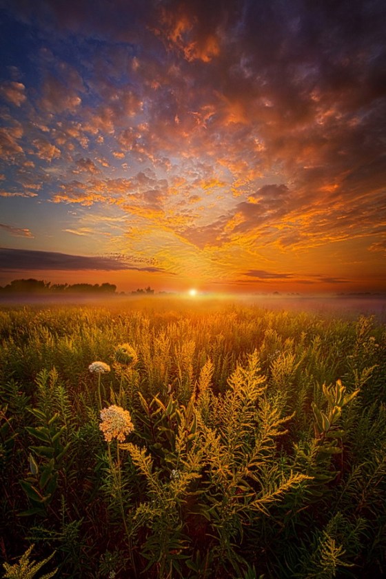 Sometimes Darkness Can Show You The Light