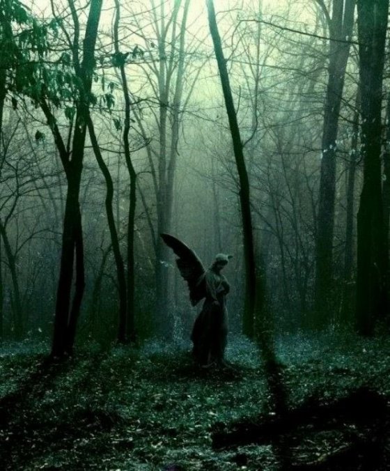 angel in the forest
