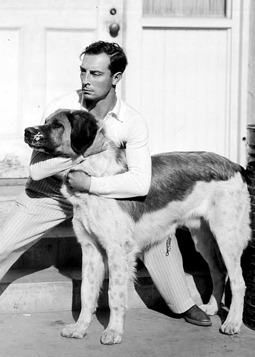 buster keaton and dog