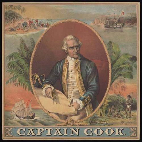 captain cook 428
