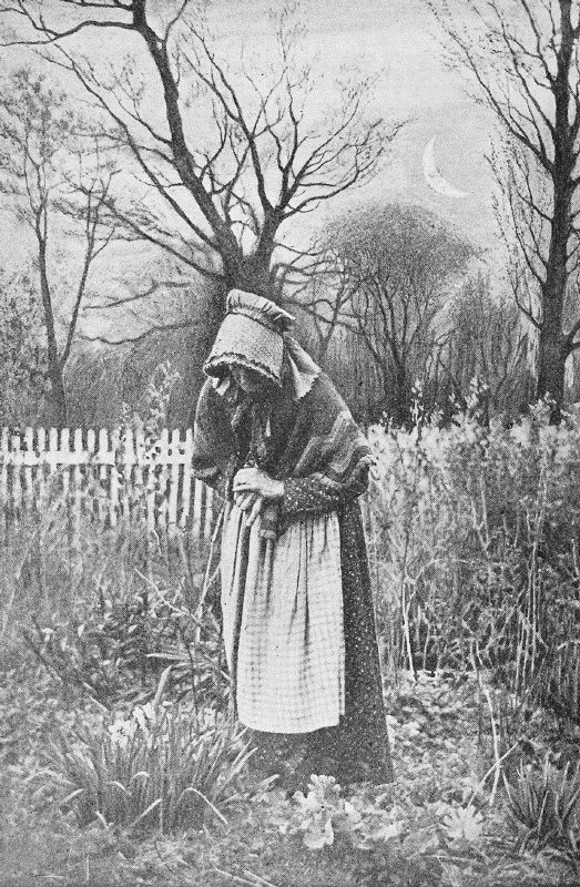 OLD LADY SPRING MOON