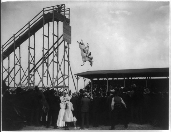 COWBOY STUNT