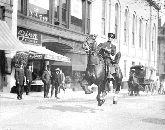 POLICE HORSE BOSTON 1905