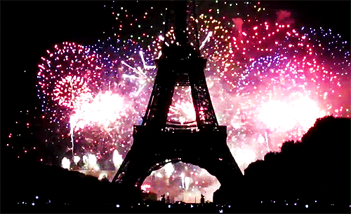 bastille day GIF 501