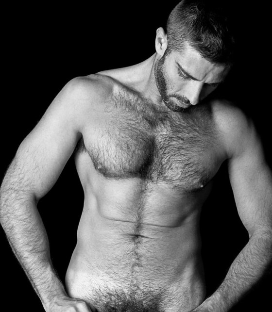 HAIRY 782470006