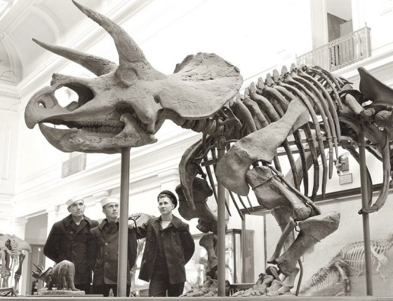 SAILORS AT NAT HIST MUSEUM