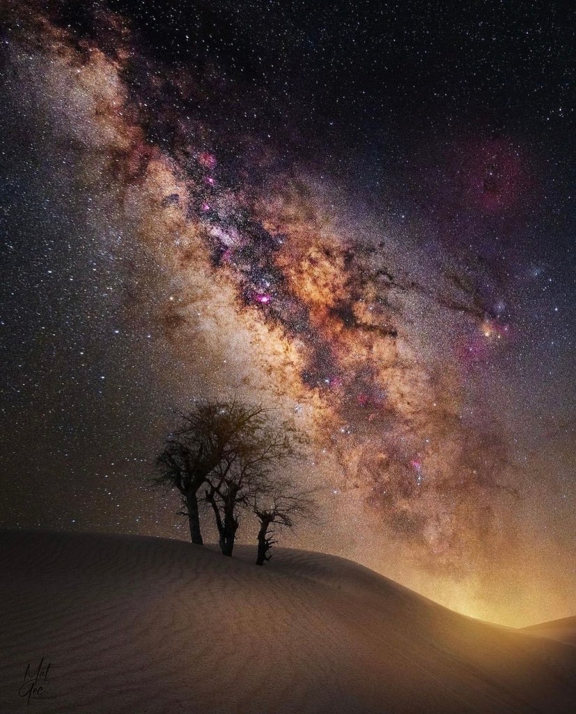 Night in the&nbsp;desert