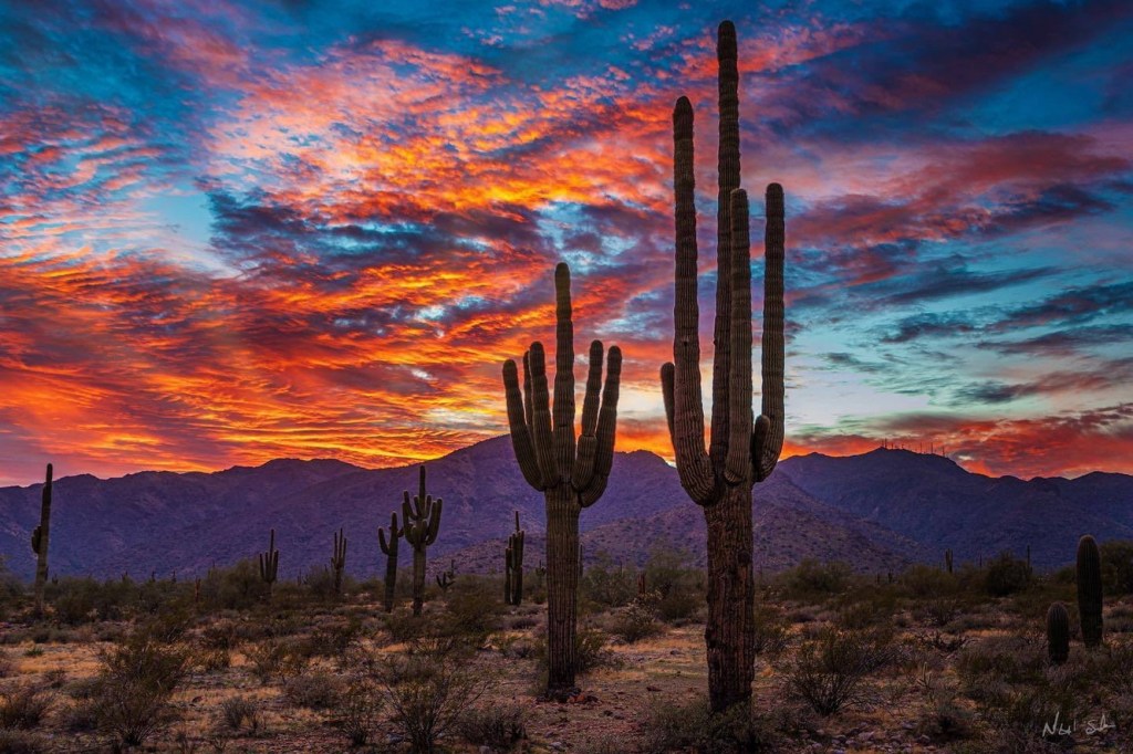 Desert sunset, Arizona