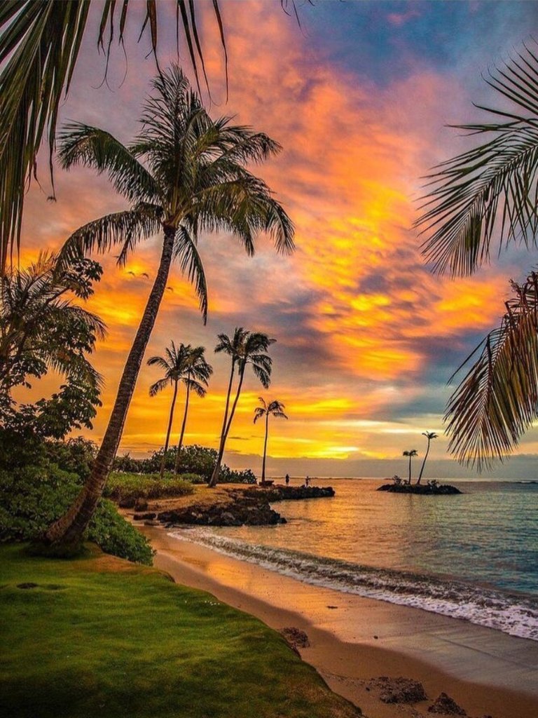 Tropical sunset