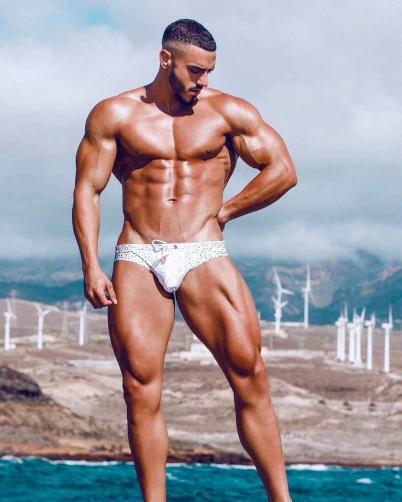 MODEL WITH WINDMILLS