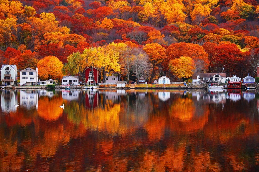 Autumn pond reflection