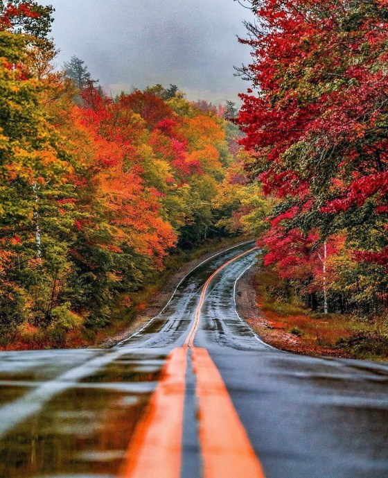 Autumn Stage Rd Autumn roads | MATTHEW'S ISLAND