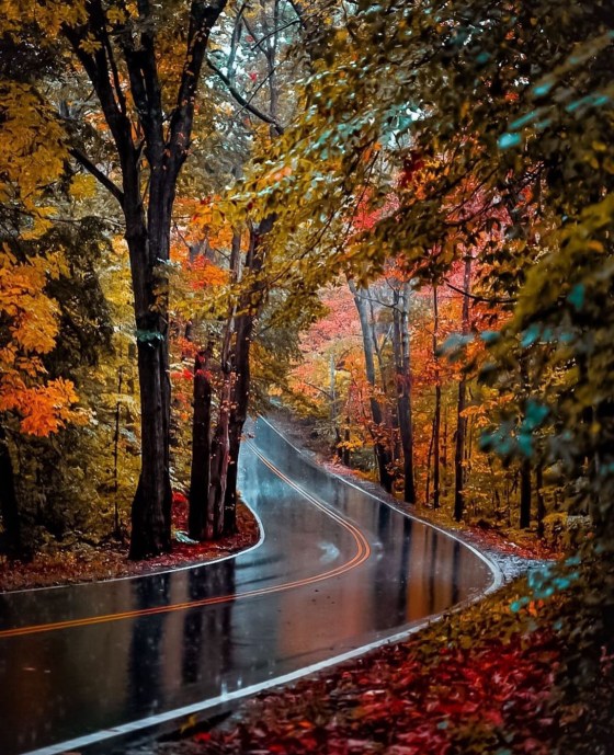 Autumn Stage Rd Autumn roads | MATTHEW'S ISLAND